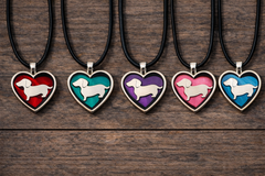One-time Valentine’s gift box for wiener dog lovers from the Cult of Wiener, featuring themed items, keepsakes, and playful dachshund design