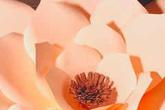 Paper Flower Box