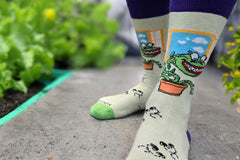 Sock Panda Tween Sock Subscription (Ages 8-11)  -  Two Pairs Each Month