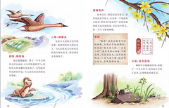 每月一本的节气科普《原来这就是二十四节气》12册套装
