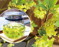 Monthly Onsen Box (Japanese Wellness Sets)