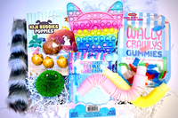 Fidget toy box, fuzzy bracelet, 2 pop tubes, bubble pop it, buddie puppies, wee critters, cotton candy slime, wally crawly gummies