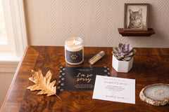 Cat Memorial Gift Box - Pet Loss Sympathy Care Package with Live Succulent & Candle