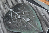 Our April 2026 Art Box, will include the drawings, Natures Grail and Soaring Faith.  Come and get dirty with us and create.