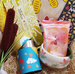 Kizuna Lifestyle Trial Box  By Air delivery (FREE Shipping Worldwide!)