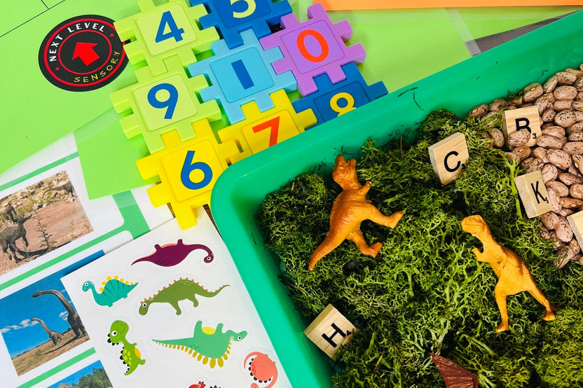Dino Discovery Sensory Box Hands On Dinosaur Themed Activities for Kids