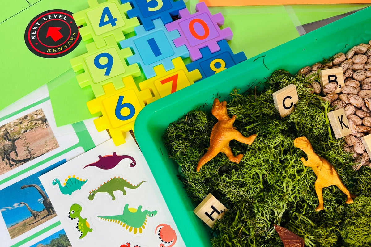Dinosaur Box Science Dino Discovery Sensory Box Hands On Dinosaur Themed Activities for Kid ...