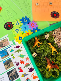 Dino Discovery Sensory Box Hands On Dinosaur Themed Activities for Kids