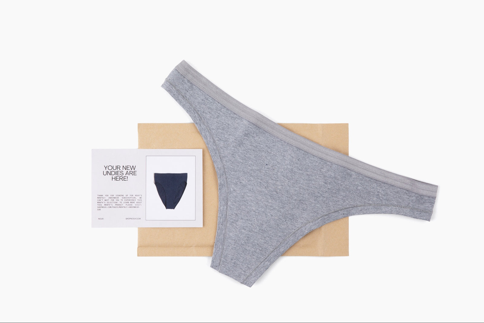 Pair of underwear (gray thong) featured in the monthly subscription along with a notecard and shipping mailer