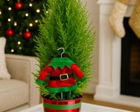 Lemon Cypress Cone with Elf