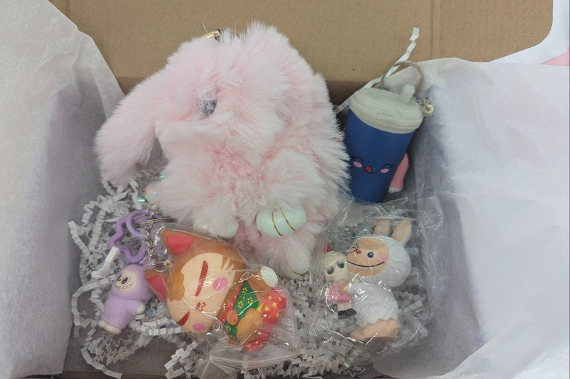 Kawaii mystery box with stickers, mini plush, mystery dumpling, squeeze toys and accessories — Little Rubi