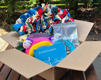 Discovery Kits - Learn, Play, & Grow with Your Dog!