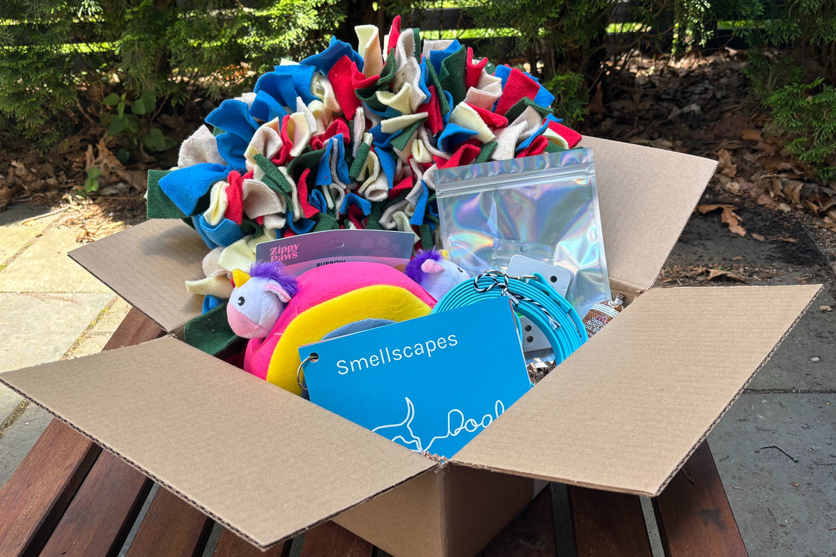 Discovery Kits - Learn, Play, & Grow with Your Dog!