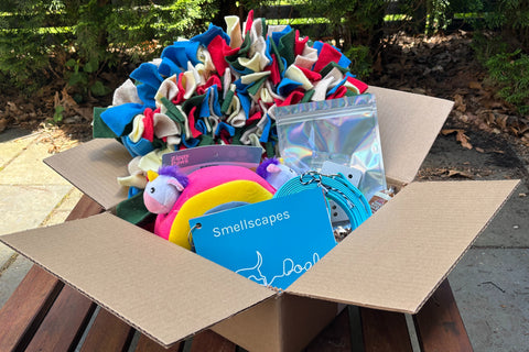 Discovery Kits - Learn, Play, & Grow with Your Dog!