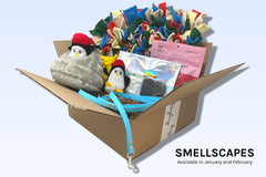 A Smellscapes Discovery Kit includes a snuffle mat, stuffed animal, scent work kit, treats, and a long leash.