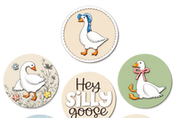 Silly Goose Box