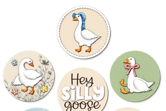 Silly Goose Box