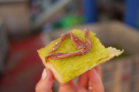 Anchovies on a piece of fresh bread drenched in extra virgin olive oil. A prize tasting fresh from the harvested Extra Virgin Olive Oil