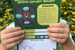 Kid holding Bug Badges “Yellow Garden Spider” Discovery Hints card in front of yellow flowers—outdoor insect/spider scavenger hunt