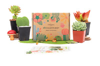 Succulent Subscription Box Monthly, Live Plant Gift Subscription for Any Occasions, Easy Care Succulent Indoor Plant for Home Office Decor