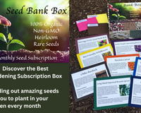 Seed Bank Box