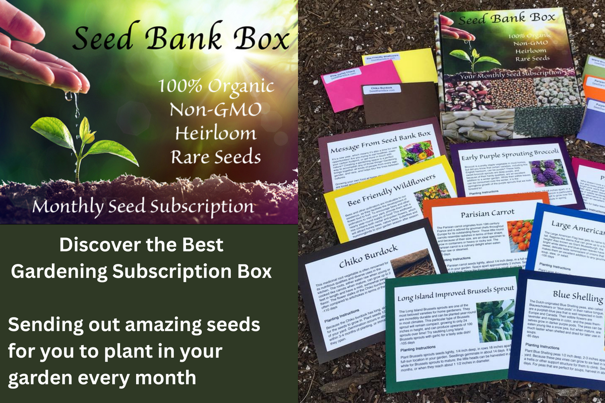 Seed Bank Box