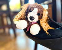 Brown and white dog with pink bandana who is inside a purse in a store.  Showing the stuffty can travel anywhere. 