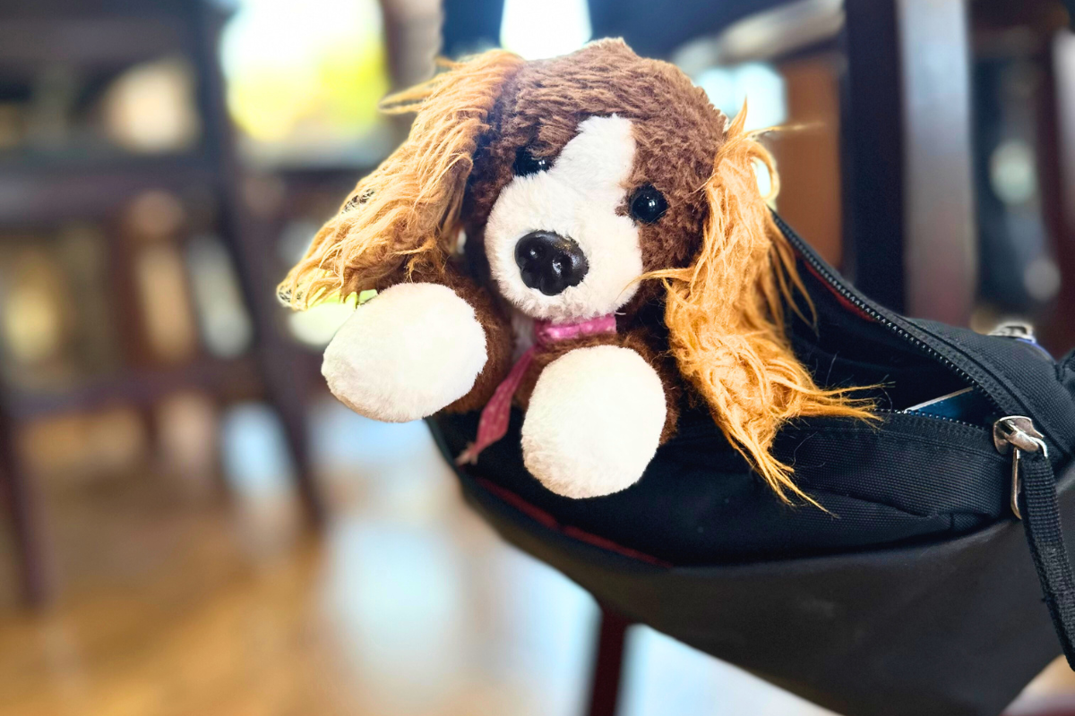 Brown and white dog with pink bandana who is inside a purse in a store.  Showing the stuffty can travel anywhere. 