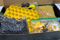 Themed Sensory Play Subscription Box