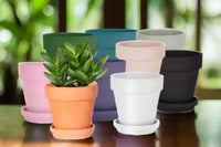 Colored terracotta pots every month Plant houseplant monthly subscription box delivered. House plant live plants sub box. Plants every month