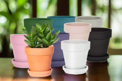 Colored terracotta pots every month Plant houseplant monthly subscription box delivered. House plant live plants sub box. Plants every month