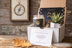 Cat Memorial Gift Box - Pet Loss Sympathy Care Package with Live Succulent & Candle