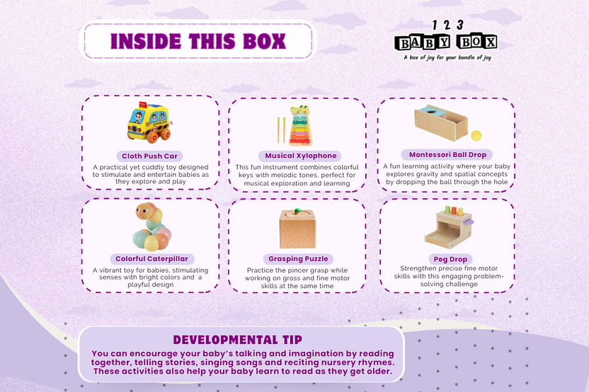 123 Baby Box (11-12 Months Box)