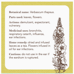 Apothecary Flashcards