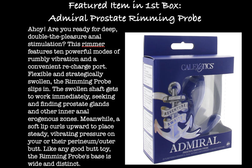 P+ Gay Adult Subscription Box | BI-MONTHLY