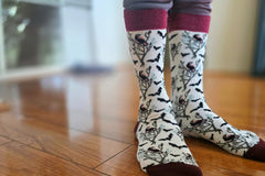Sock Panda - Women's Sock Subscription - Amazing and Original Sock Panda Designs Delivered Monthly