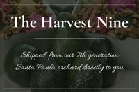 The Harvest Nine - Locally Delivered, See Details