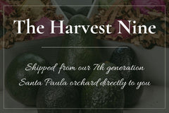 The Harvest Nine - Locally Delivered, See Details