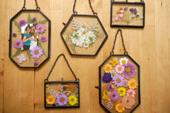 Framed Pressed Flowers Kit -  From Adults & Craft DIY Craft Kit Company based in Denver Colorado USA