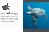 Interior spread from the books. This interior spread is from the title Sea Turtles! Did you know? Leatherbacks are the largest sea turtles.