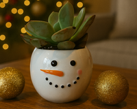 Tiny Tot Snowman with 2-inch Succulent