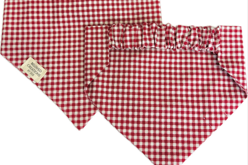 Bandana & Bones (Bimonthly Subscription)