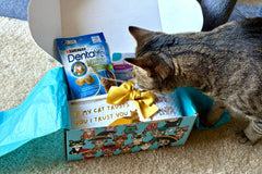 Purrfect Little Art Cat Lover's Box