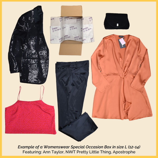 Occasion Wardrobe Box