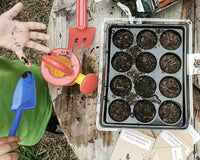 THE SUPER MEGA SUMMER SEED PACK