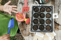 THE SUPER MEGA SUMMER SEED PACK