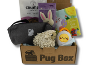 The Pug Box is a monthly subscription box filled with toys and treats specially curated for Pug Dogs!