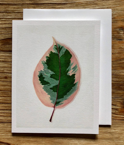 Ficus Ruby Plant (Oil Painting) Any Occasion Card