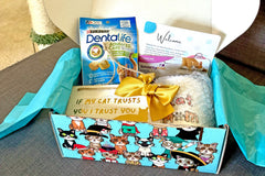 Purrfect Little Art Cat Lover's Box
