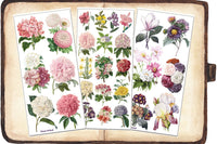 The All Floral Sticker Club by Violette Stickers